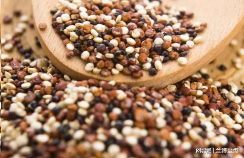 深秋养生指南 建议老人多吃6类种子食物，营养丰富又实惠，安度秋冬