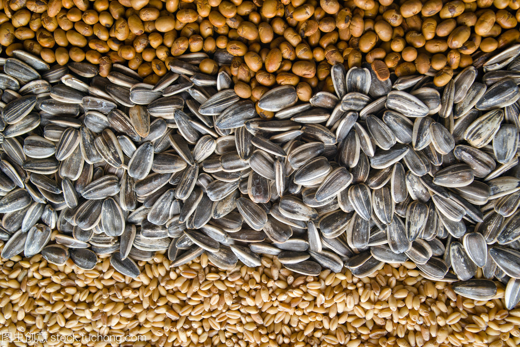 谷物与棉花种植 中国农业的双重支柱