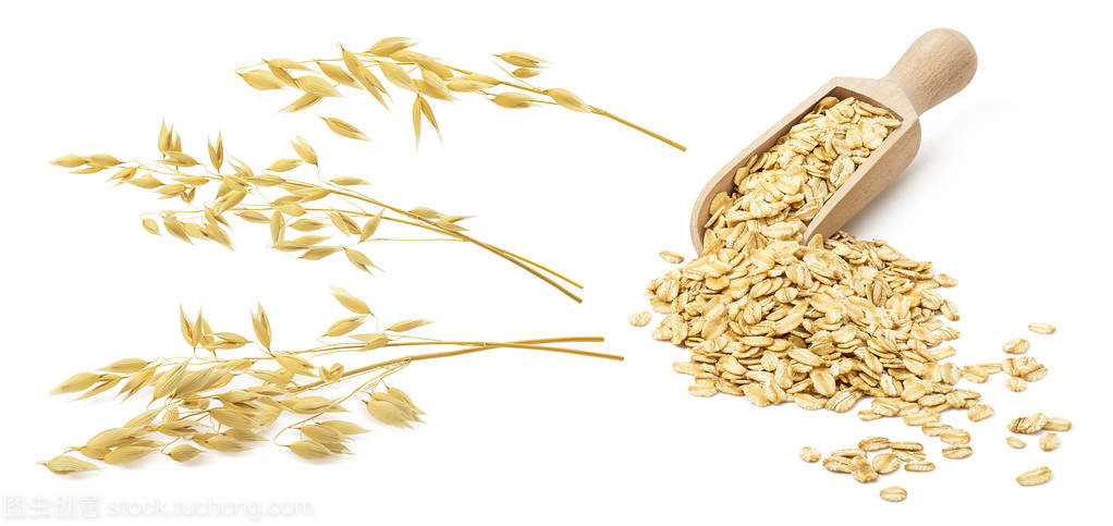 麦片粥与棉花种植 一场跨越时空的农业对话