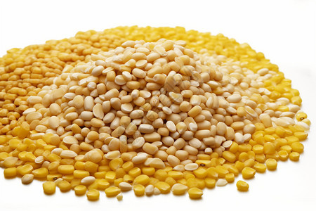 健康谷物与可持续农业 玉米与棉花的协同种植探索